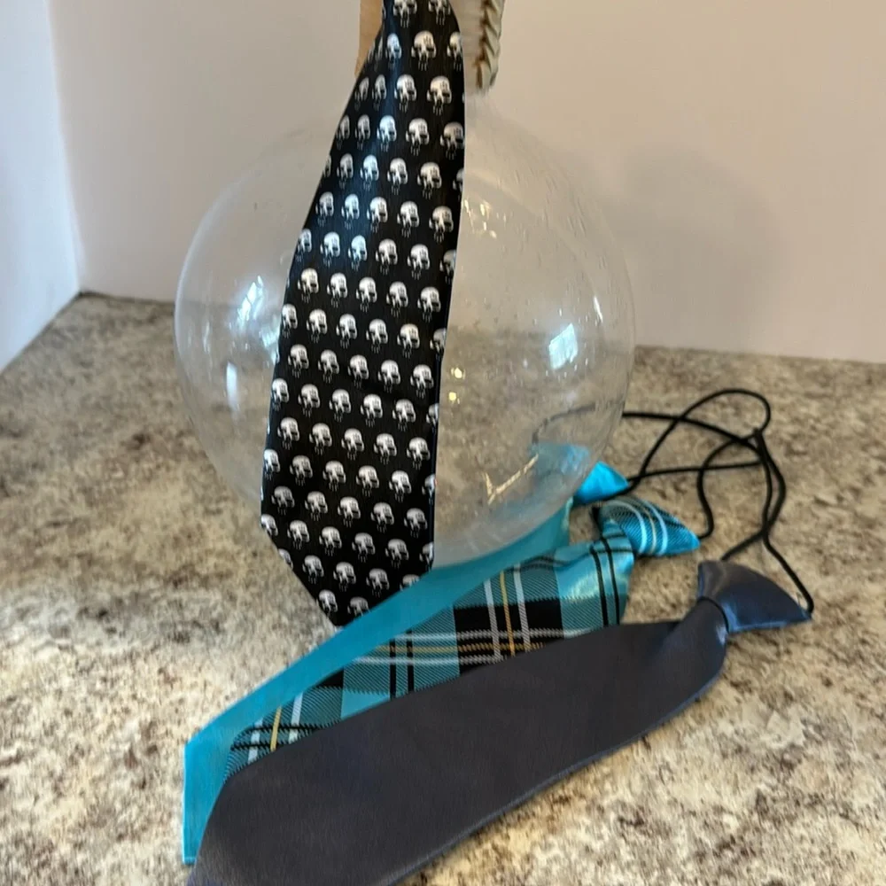 NWOT 10 inch unisex ties set of 4. Attached elastic cord goes under the collar